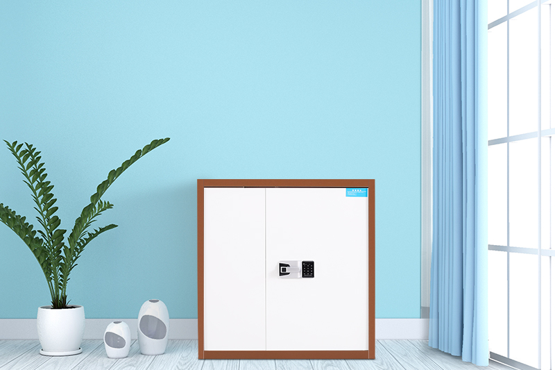 單節(jié)保密柜咖套白