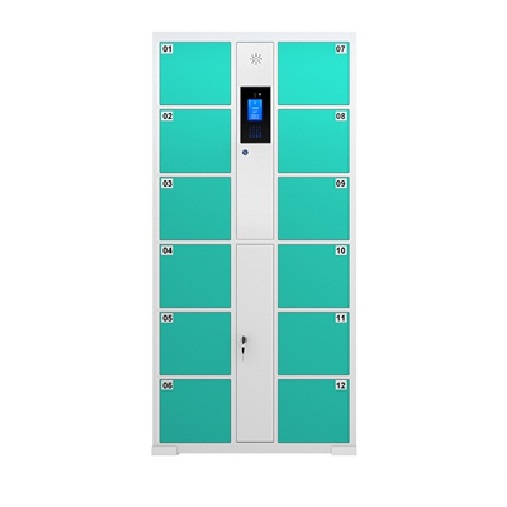 12門人臉識(shí)別存包柜